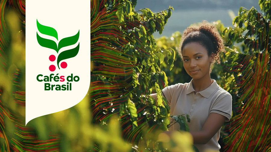 Cafes-do-Brasil-2026.jpg
